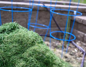 grass clippings pile near garden bed