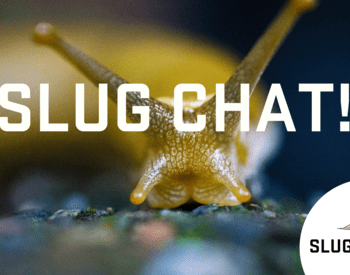 Slug chat! with large front facing slug
