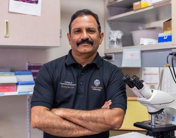 Ramesh Sagili poses for a photo in his lab at Oregon State University.
