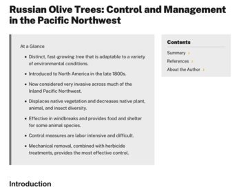 Cover image of "Russian Olive Trees: Control and Management in the Pacific Northwest" publication