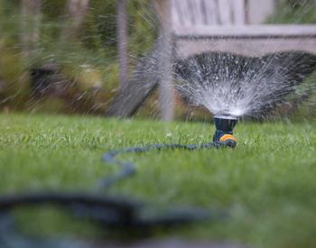 Lynn Ketchum photo of a sprinkler on a lawn