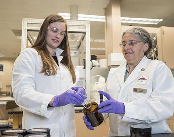 Oregon State University researchers Holly Dixon and Kim Anderson prepare one of the chemical-sampling silicone wristbands for analysis.