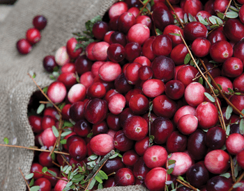 Close-up of fresh cranberries with small stems and leaves scattered in.